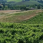 Tenuta Di Monaciano 4*