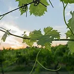 Tenuta Di Monaciano Hotel Castelnuovo Berardenga