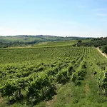 Tenuta Di Monaciano Hotel Castelnuovo Berardenga