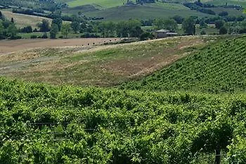 Tenuta Di Monaciano 4*
