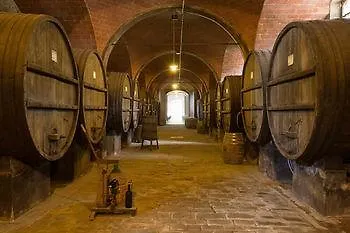 Tenuta Di Monaciano 3* Кастельнуово-Берарденга