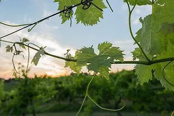 Tenuta Di Monaciano Отель Кастельнуово-Берарденга
