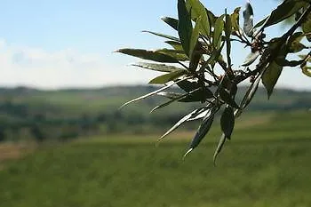 Tenuta Di Monaciano Отель Кастельнуово-Берарденга