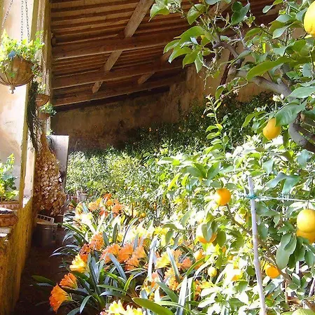 Отель Tenuta Di Monaciano Кастельнуово-Берарденга